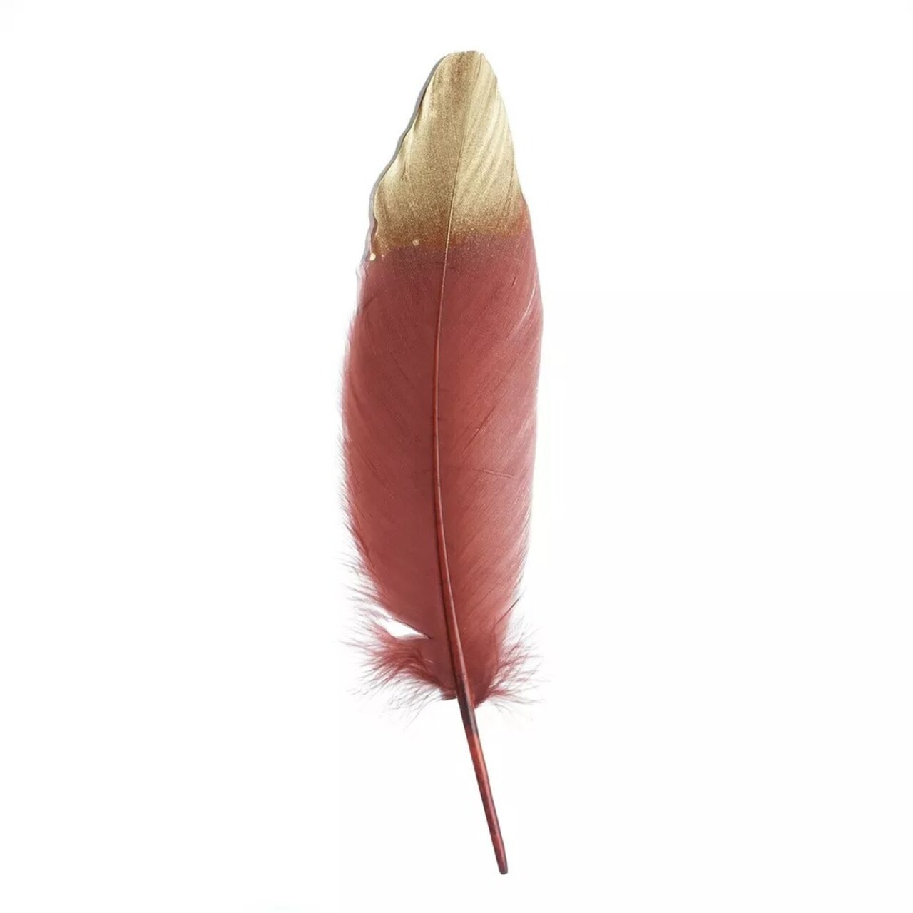 90 BURGUNDY with Metallic Gold Tip Natural Goose Feathers